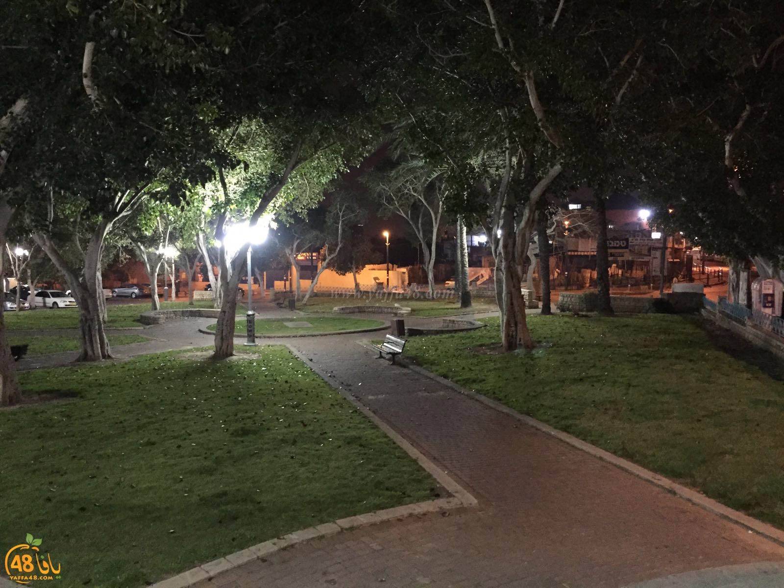 inara baladiya (3).jpg